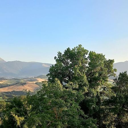 Pigno, Appartamento In Campagna Cagli Ngoại thất bức ảnh